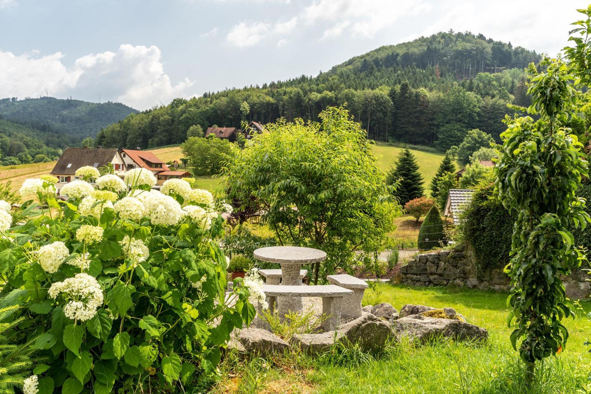 Haus 23 Apartman Ettenheim Kültér fotó